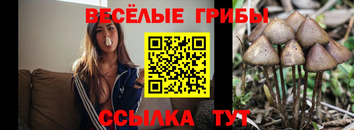 Галлюциногенные грибы Magic Shrooms  Вход с VPN  Мытищи 